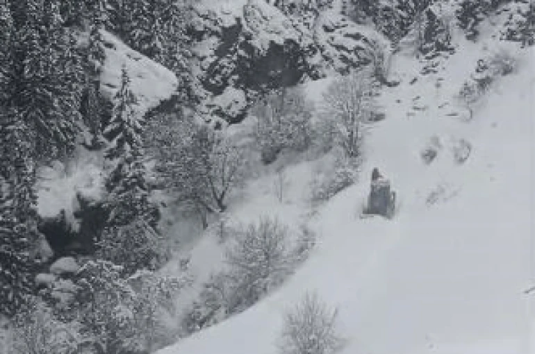 Artvin’de kar ulaşımı vurdu: 120 köy yolu kapalı 