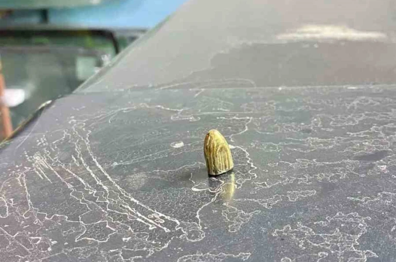 Artvin’de maganda kurşunu park halindeki araca ve iş yerine isabet etti