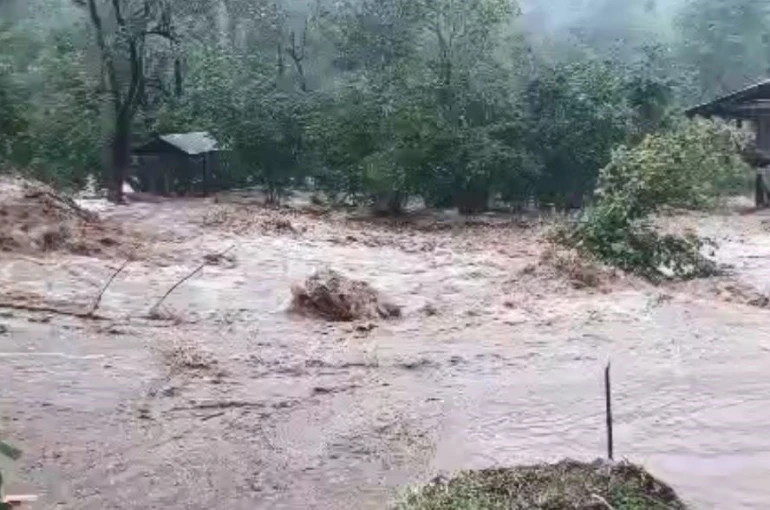 Artvin’de sağanak yağış sele neden oldu 