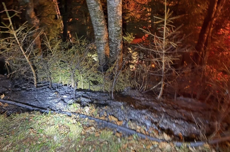 Artvin’de zirai alanda yangın kısa sürede söndürüldü 