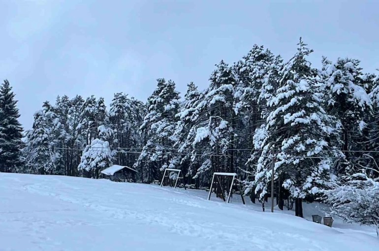 Artvin’in ünlü Kafkasör Yaylası, beyaz örtüyle sessizliğe büründü