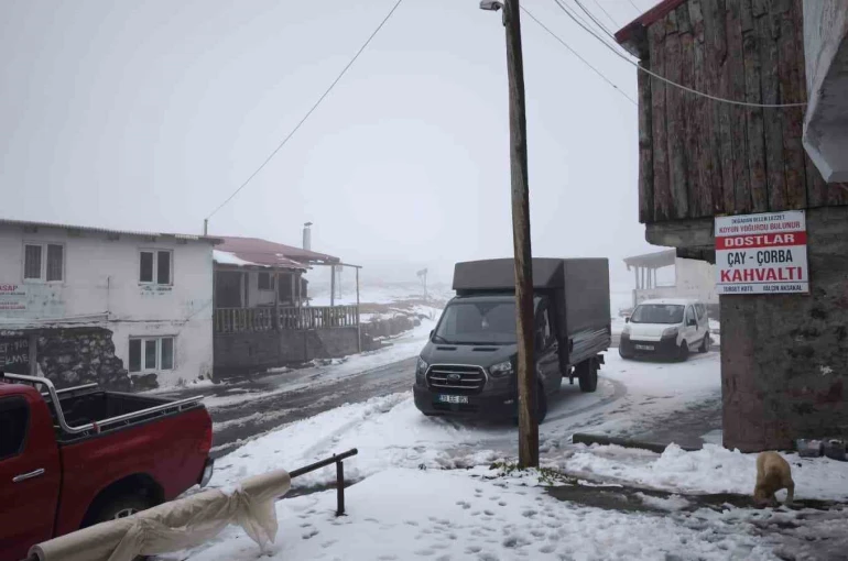 Artvin’in vadilerini sel, yaylalarını kar vurdu 