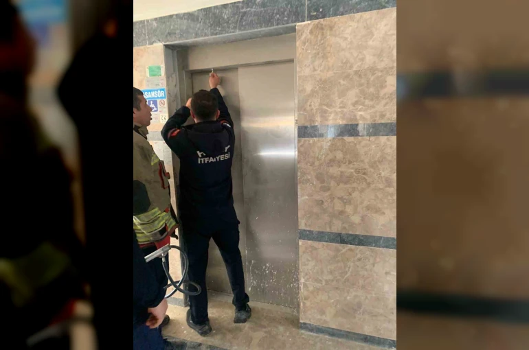 Asansör boşluğuna düşen yavru kediyi itfaiye kurtardı 