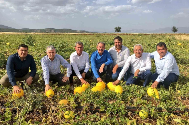Asırlık miras Acıpayam kavunu tescillendi 