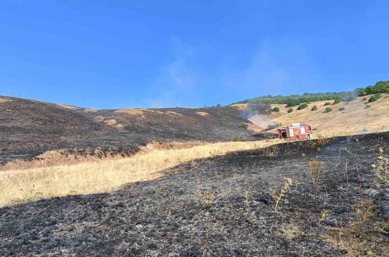 Aşkale Güneyçam Köyü’nde anız yangını: 100 dönüm alan kül oldu 