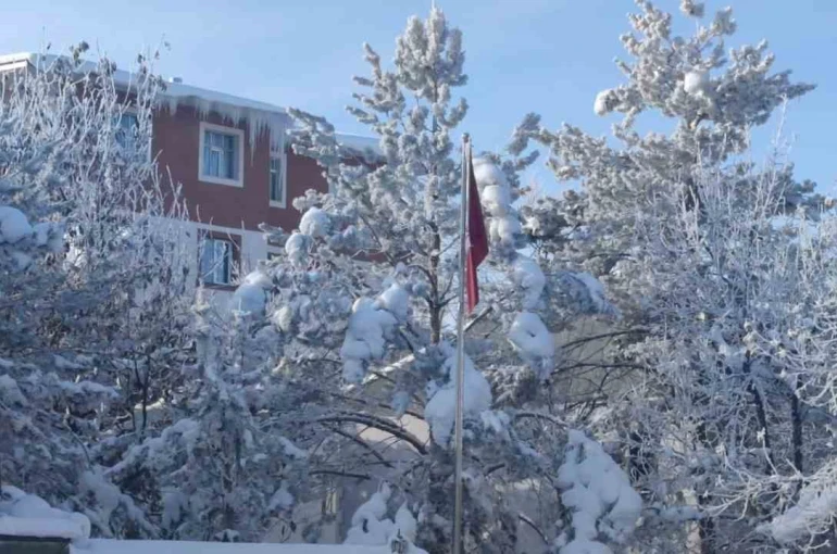 Aşkale’de dondurucu soğuklar hayatı felç etti