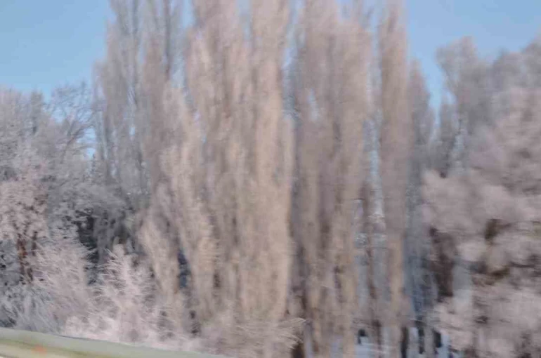 Aşkale’de Sibirya soğukları: Termometreler -30’u gösterdi