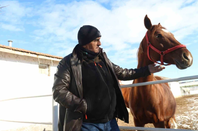 At yetiştiriciliğinin kış zorlukları 