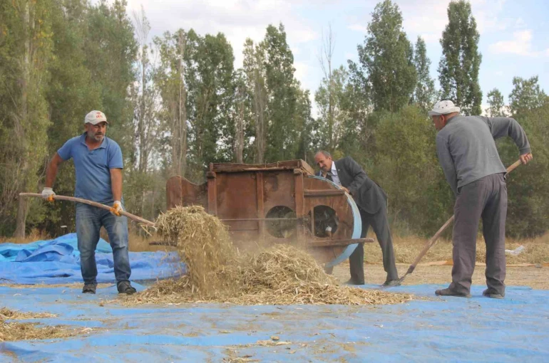 Ata tohumu fasulyeler geleneksel yöntemlerle üretiliyor 