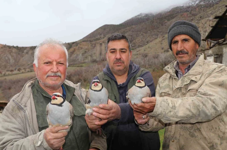 Atadan toruna kalan miras: "Baskın keklik" yöntemiyle dev envanter 