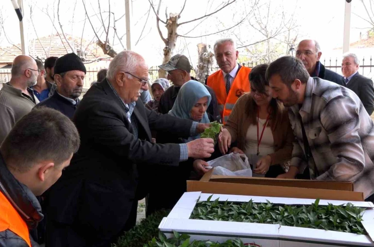 Atakumlu çiftçiye 100 bin sebze fidesi 
