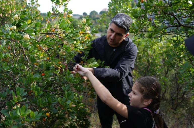 Ataşehir’de 438 metre yükseklikte çilek festivaline akın ettiler 