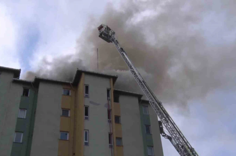 Ataşehir’de site içinde yangın: Sakat köpek mahsur kaldı 