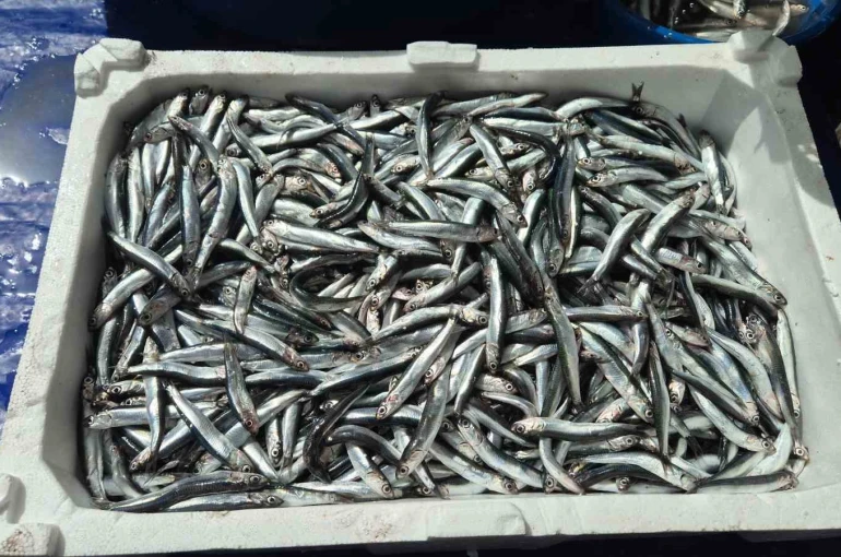 Av yasağı öncesi pazarda yoğunluk 