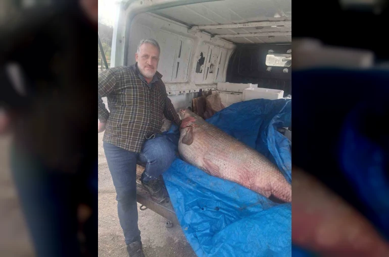 Av yasağının bittiği gün 130 kiloluk turna balığı yakaladı, nasıl doğrayacağını düşünmeye başladı