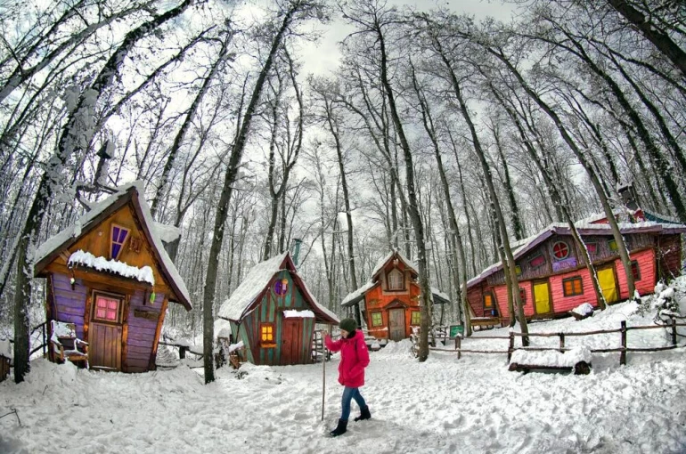Avrupa’nın en büyük doğal yaşam parkı Ormanya beyaz örtüyle kaplandı 