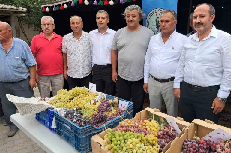 Avşar Üzümü coğrafi işaretle tescillendi 