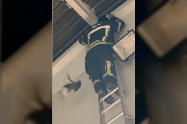Ayağı ipe dolanan güvercin, itfaiyenin müdahalesiyle kurtuldu 