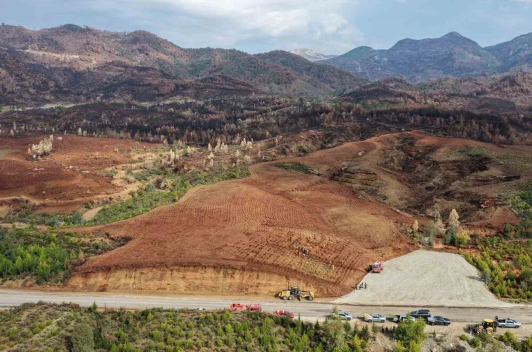 Aydın’da 17 lokasyonda fidan dikilecek 