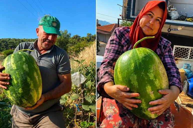 Aydın’da 550 rakımda karpuz ve balkabağı yetiştiriyorlar 