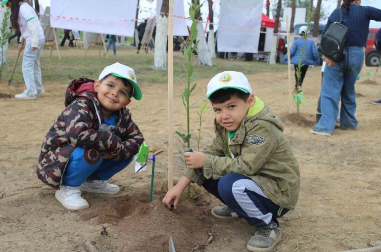 Aydın’da 7 bin fidan toprakla buluştu 