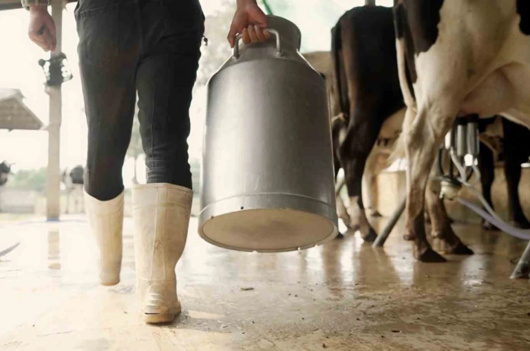 Aydın’da 9 bin 543 üreticiye toplam 66 milyon TL ödeme yapılacak 