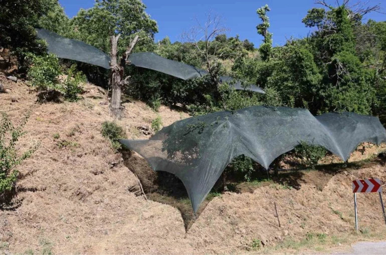 Aydın’da don afeti mağduru üreticilere 50 milyon liralık destek 