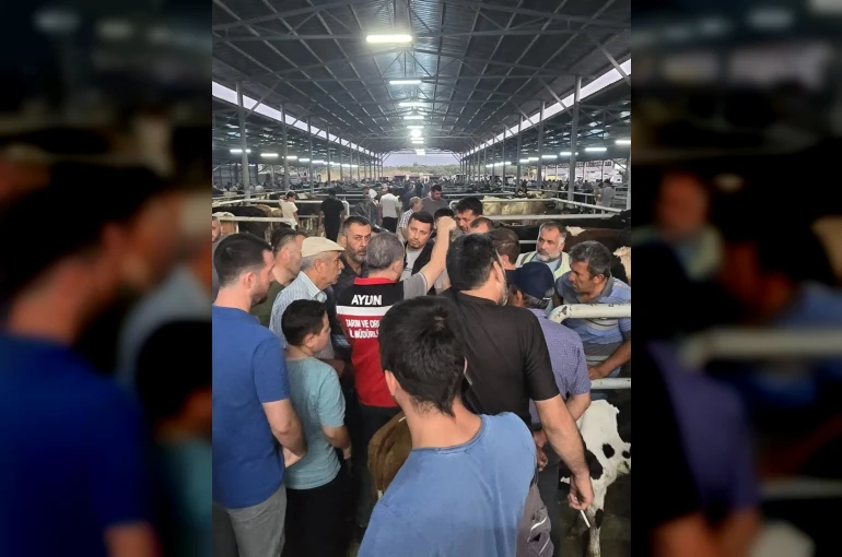 Aydın’da hayvan pazarlarında sıkı denetim