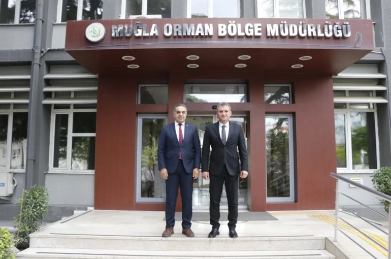 Aydın’da kestane ağaçları biyolojik mücadele ile korunuyor 