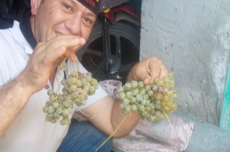 Aydın’da pekmez yapım sezonu başladı 