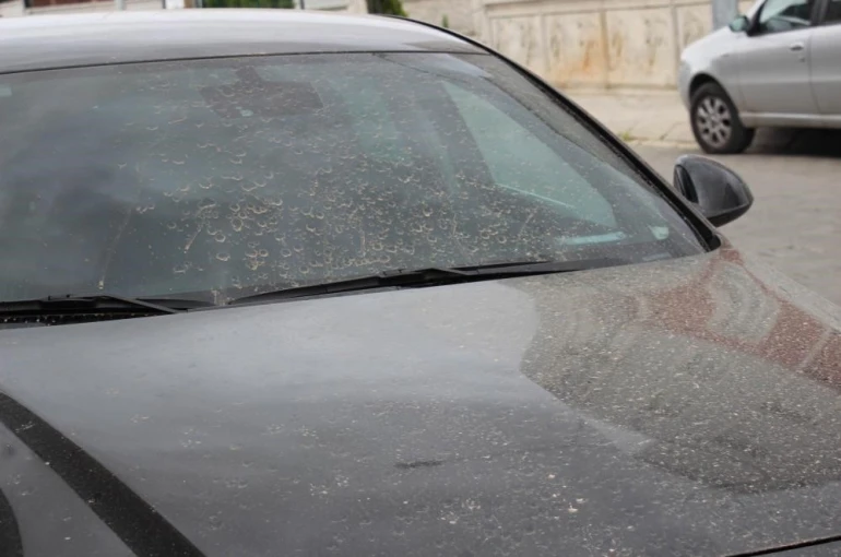 Aydın’da toz taşınımı bekleniyor 