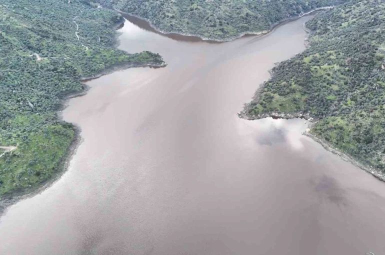 Aydın’da yağmurlar bereket getirdi, barajlar canlandı