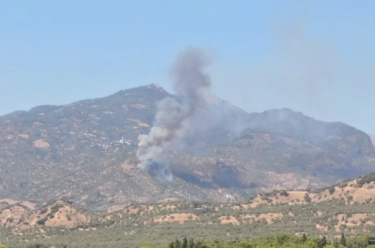 Aydın’da zirai alan yangını