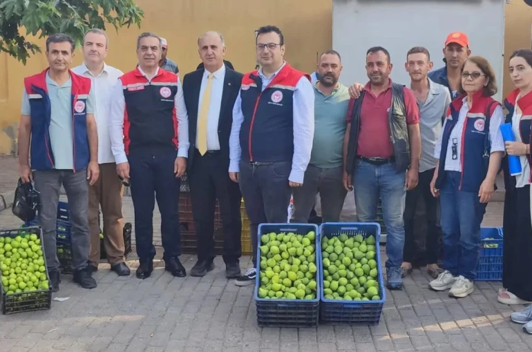 Aydın’ın dünya markası inciri için sahada yoğun mesai 
