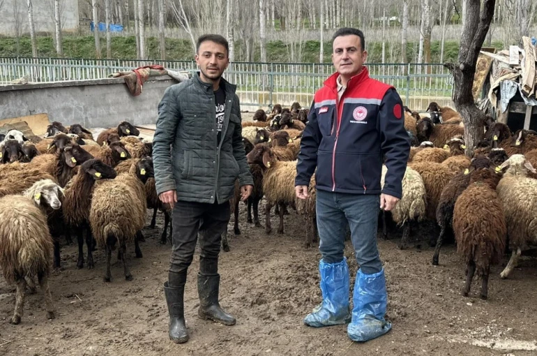 Aydıntepe’de kırsal üretimi destekleyen projede kontroller sürüyor 