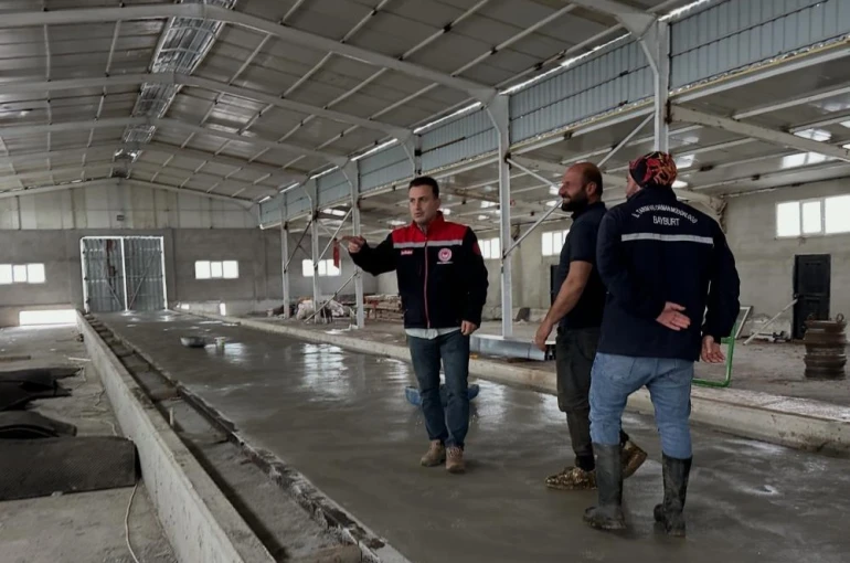 Aydıntepe’deki hayvancılık işletmelerinde kapasite değerlendirmesi yapılıyor 