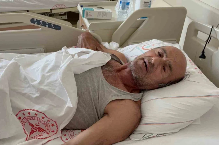 Ayı saldırısına uğradı: Canını ağaca tırmanarak kurtardı 