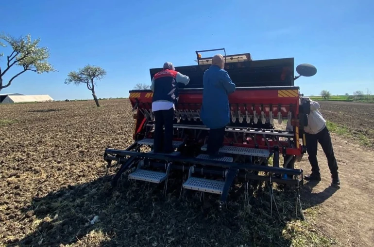 Babaeski’de aspir tohumu toprakla buluştu 