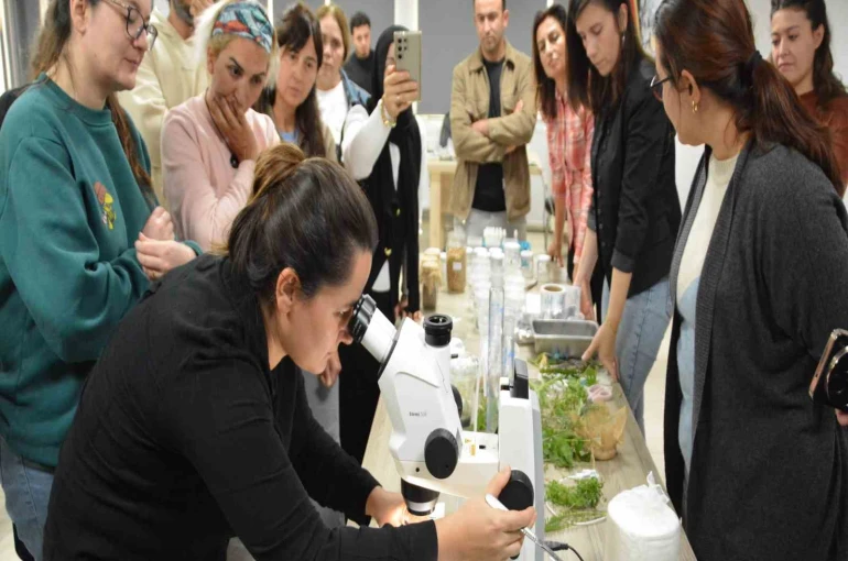 BAÇEM’de 5. Bitki Doku Kültürü kursu tamamlandı 