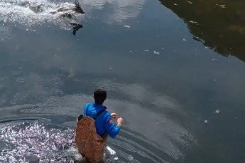 Bafra’da kanala düşen karaca kurtarıldı 