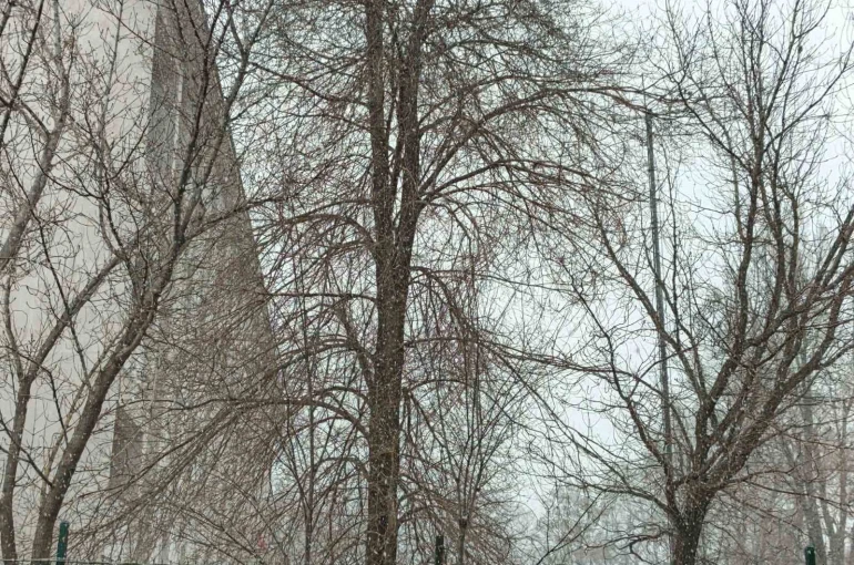 Bahar gelmeden kış geri döndü; Diyadin’e kar sürprizi 