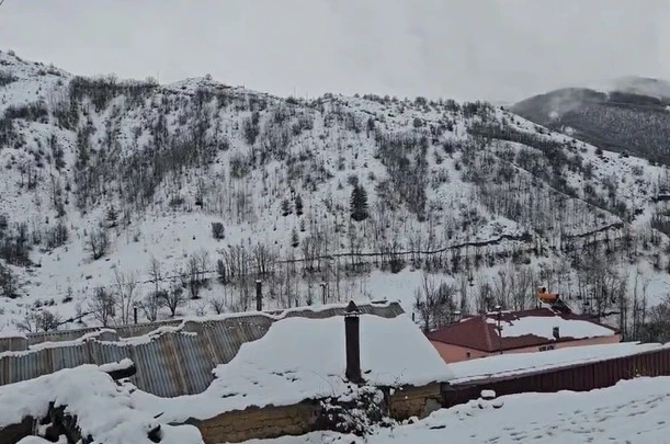 Bahar yerini kışa bıraktı: Erzincan Refahiye’de kar yağışı etkili oldu 