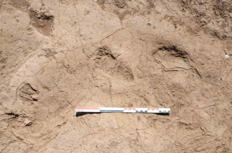 Bakan Ersoy: "7 bin yıl öncesinden günümüze uzanan adımlar, Hatay’da keşfedildi" 