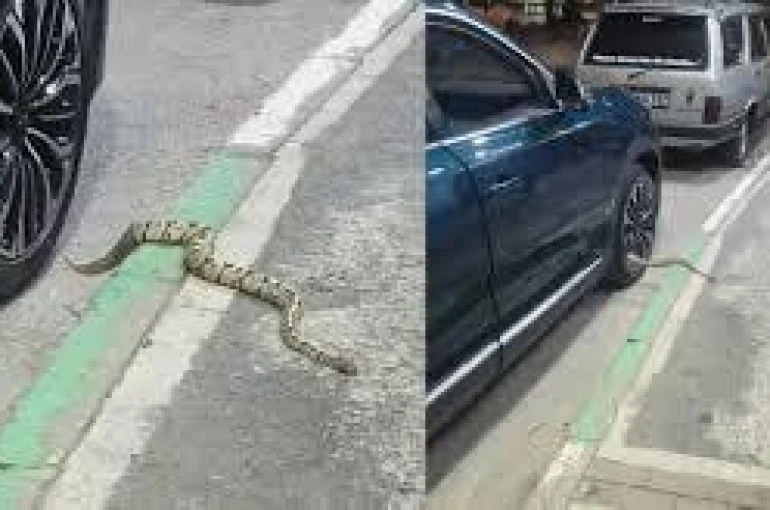 Bakan Işıkhan: "Türkiye, artık yalnızca tüketen değil, üreten ve yön veren bir ülke konumuna yükselmiştir"