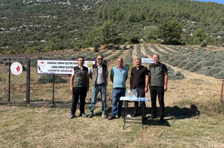 Bakımını yapan kullanım hakkını elde edecek 