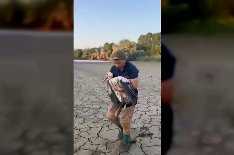 Balçığa saplanan leylek için seferber oldu
