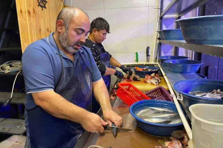 Balık sezonu bereketli başladı 