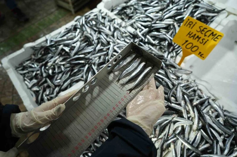 Balık tezgahlarına yakın markaj: 109 kişi ve işletmeye 2,5 milyon TL ceza 