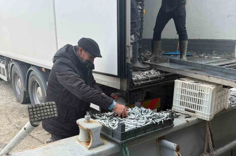 Balıkçı Ramazan’da ücretsiz hamsi dağıttı 