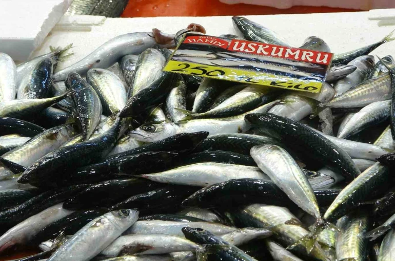 Balıkçılardan müjde: Fiyatlar düştü, ekimde bolluk bekleniyor